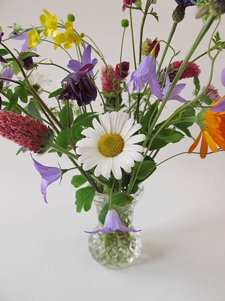 istock Bouquet of wild flowers 494837675