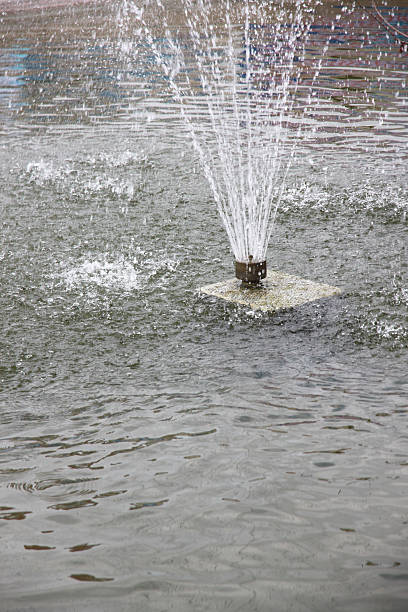 istock central fountain pond in the park. 494838789