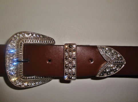 Get ready for the rodeo...a western style sparkling rhinestone leather belt.