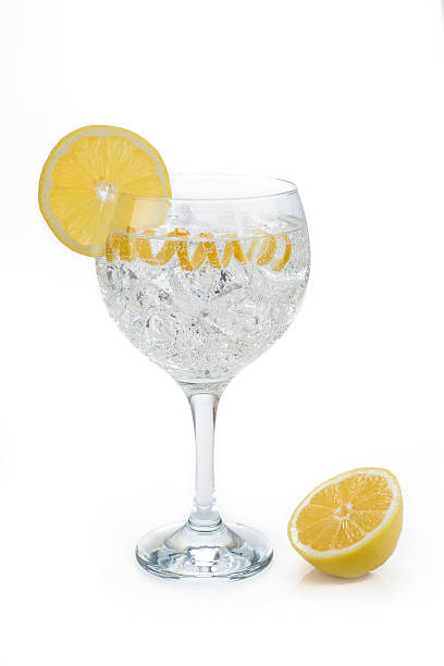 istock Classic gin and tonic with a lemon twist 494840997