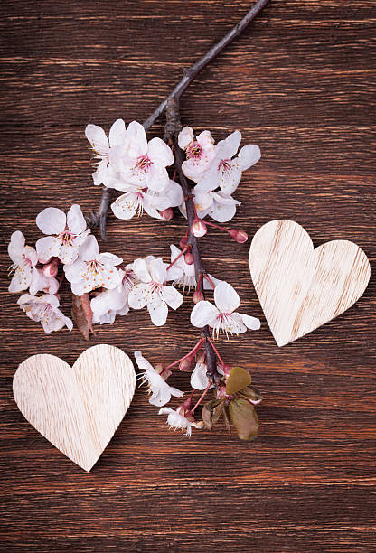 istock Two wooden hearts  with spring cherry blossom flowers 494849592
