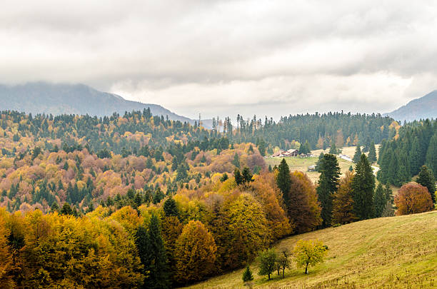istock Autumn mountain landscape background. 494852602