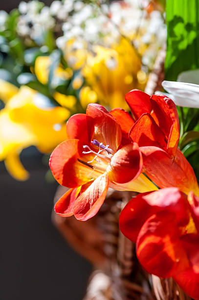 istock bouquet of flowers 494853021