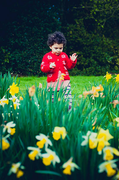 istock PEOPLE: Toddler (2-3) Walking In Field Of Daffodil. 494853195