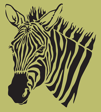 Free Zebra Head Clipart in AI, SVG, EPS or PSD Free Zebra Head Clipart in AI, SVG, EPS or PSD