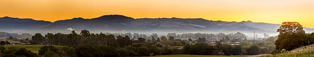 wcześnie rano i miasta w winnicy napa valley w kalifornii - napa valley vineyard autumn california zdjęcia i obrazy z banku zdjęć