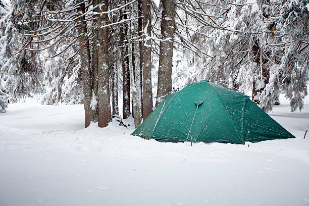 istock Tent in winter forest 494855386
