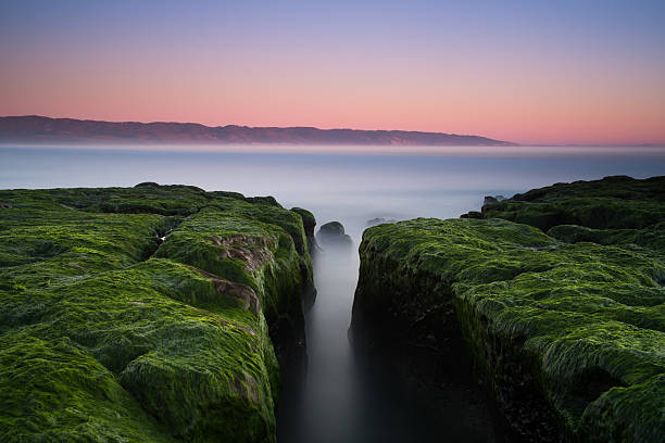 Isopleth Point Reyes 370+ Point Reyes Sunset Stock Photos, Pictures & Royalty-Free Images ...