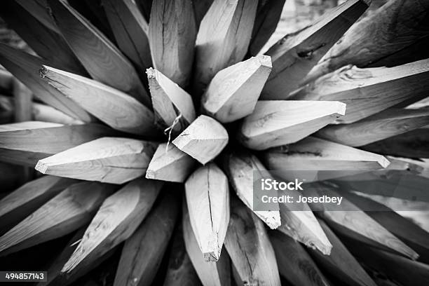 Stakes Stock Photo - Download Image Now - Barricade, Branch - Plant Part, Horizontal