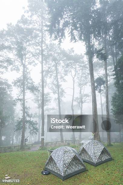 Dos Carteles De Paseo En Parque Nacional Foto de stock y más banco de imágenes de Actividad - Actividad, Aire libre, Bosque