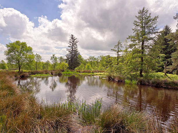 istock The pond at beacon Fel 494857817