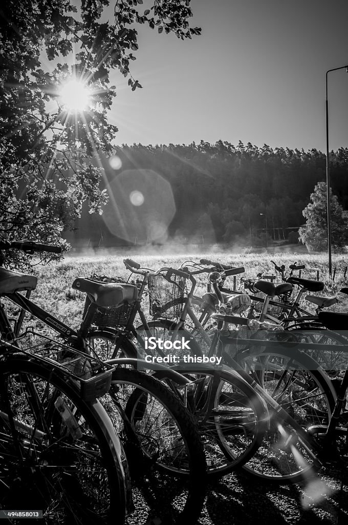 Bicicletas en Sunrise - Foto de stock de Actividad libre de derechos