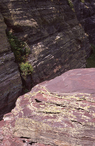 sedimentary rocks liquen outcrops montañas rocosas parque nacional de canadá - british columbia british columbia glacier national park canada geology fotografías e imágenes de stock