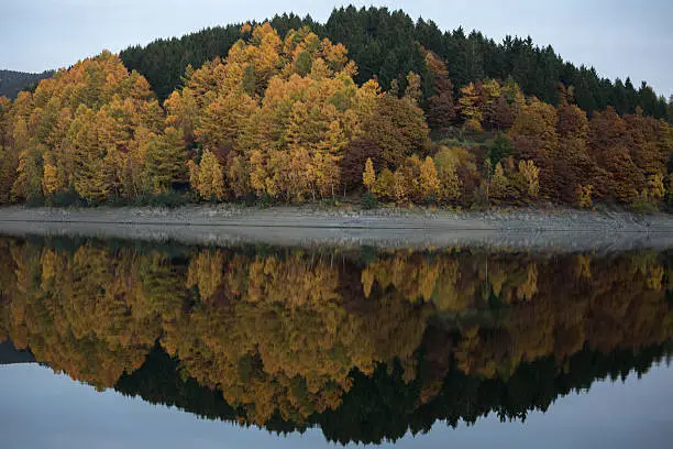 autumn lake reflection