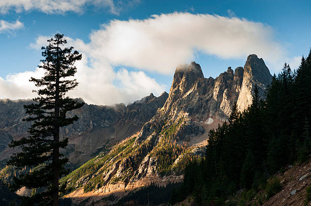 조기 윈터스 첨탑 - north cascades national park cascade range highway north 뉴스 사진 이미지