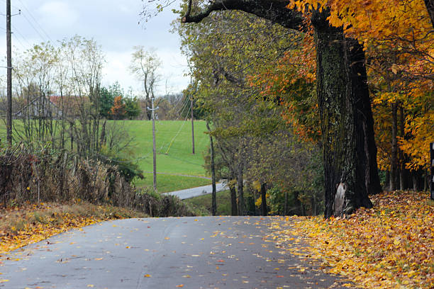 istock Kentucky Road in Autumn Surrounded by Trees 494883856