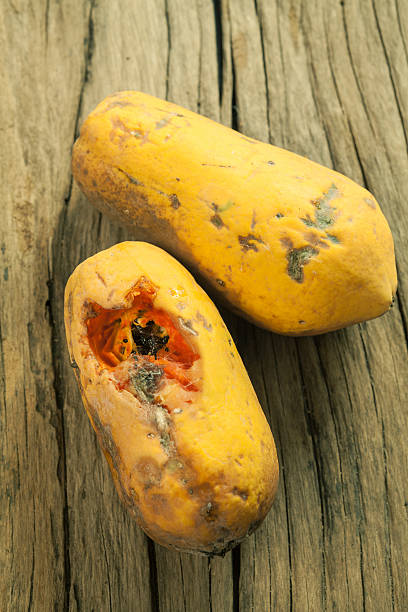 moldy papaye fruits sur fond en bois - rotting food mold fruit photos et images de collection
