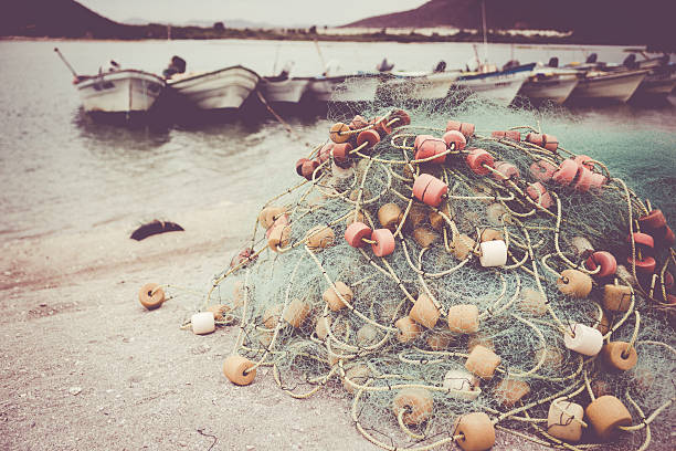 istock Fishing boats 494893345