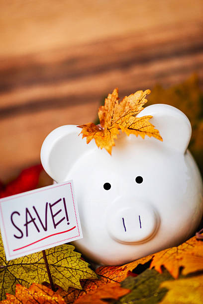istock Fall Savings. Piggy bank amongst fall leaves with copyspace 494894028