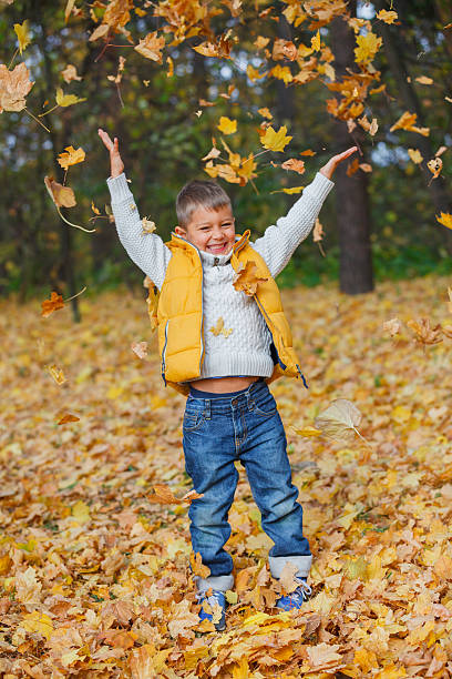 istock Adorable boy in autumn park 494894614