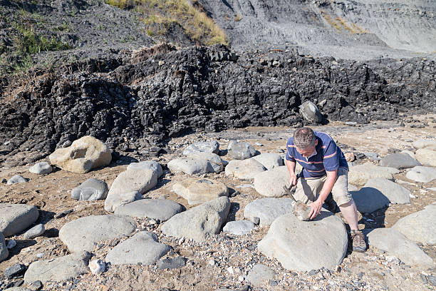 istock male geologist examining rocks on beach 494897707