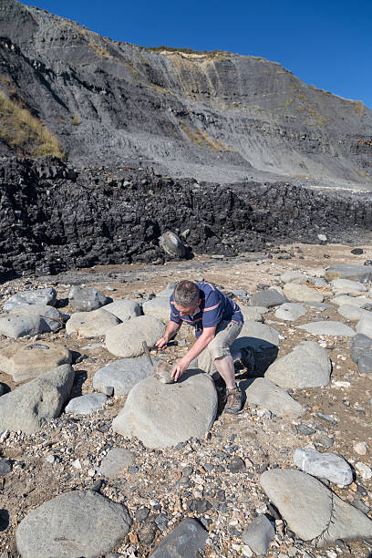 istock male geologist examining rocks on beach 494897727
