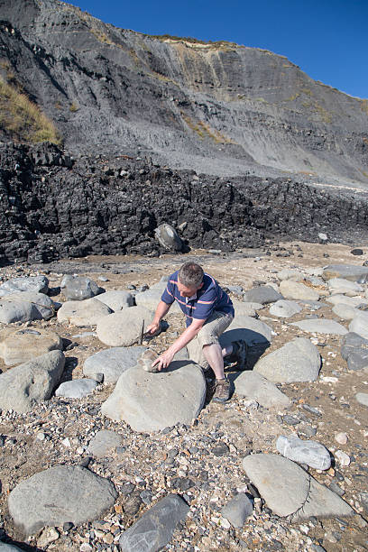 istock male geologist examining rocks on beach 494897739