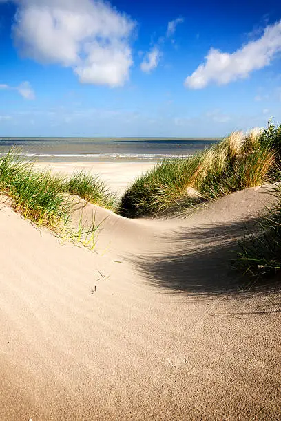 Beach and dunes at the belgian North Sea coast