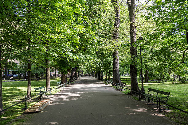 istock parc Planty in Krakow, Poland 494897833