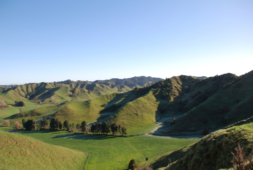 New zealand green hills in country