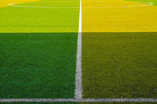 istock Soccer football field stadium grass 494898553
