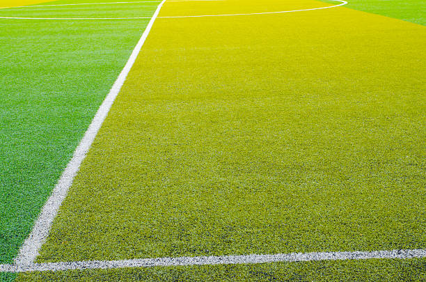 istock Soccer football field stadium grass 494898559