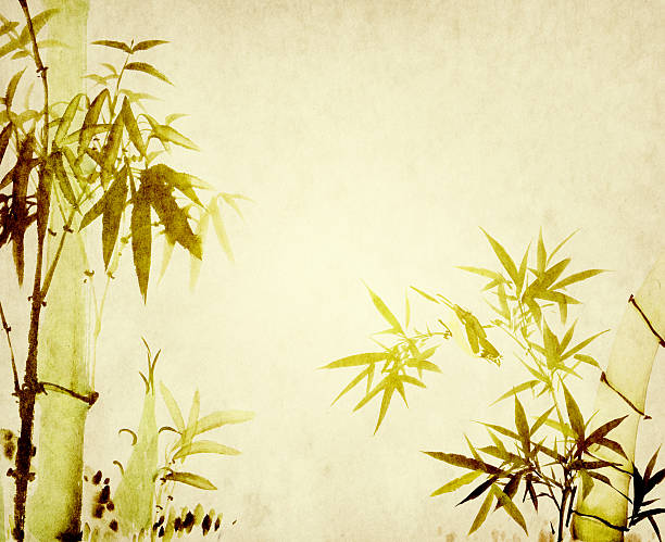 istock bamboo on old grunge paper texture background 494900928