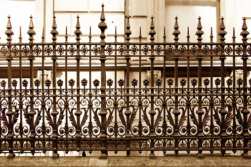 Ornaments of Wrought Iron Fence and Gate