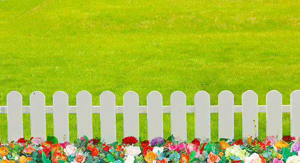 istock wooden fence in the grass. 494902610
