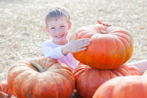 smiling 6-year old boy having fun and enjoying autumn time at pumpkin patch