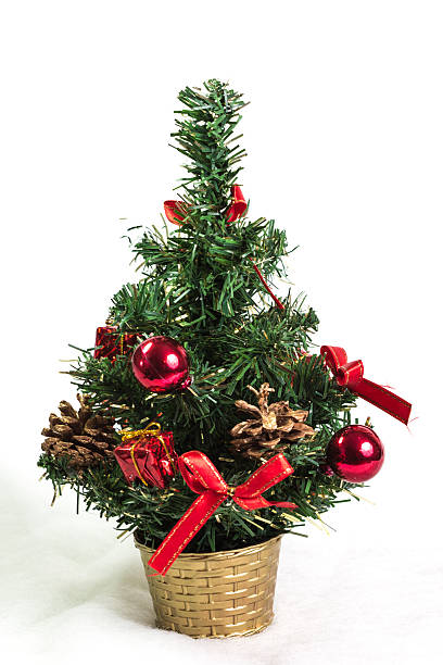 istock Beautiful christmas tree isolated on white background 494903160