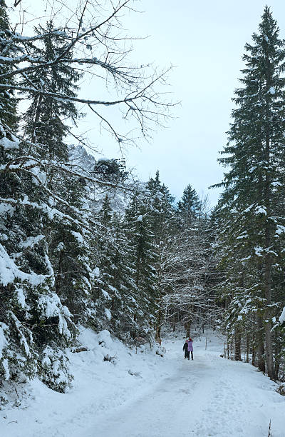 istock Pathway and children for walk. Winter view. 494906844