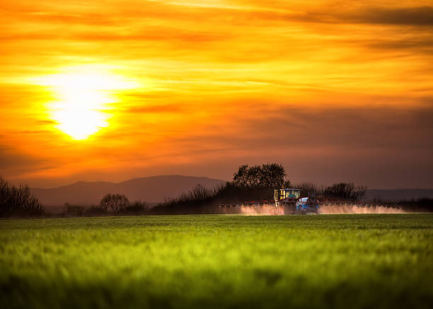Farming tractor plowing and spraying, sunset shot
