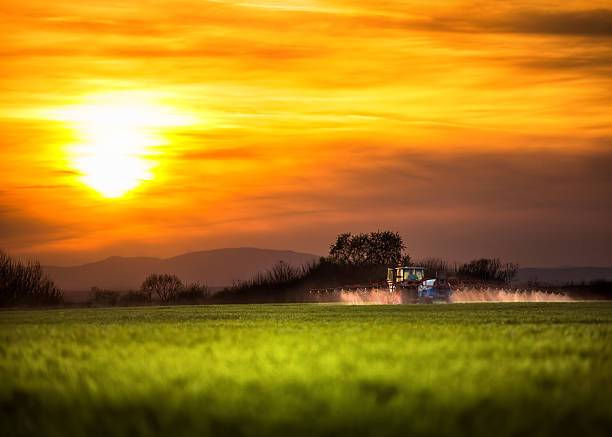 сельское хозяйство трактор вспашка и разбрызгивание, вечерний снимок - plowed field field fruit vegetable стоковые фото и изображения