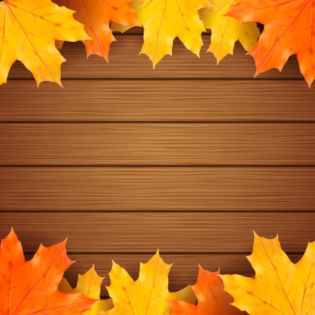 Maple Texture Background Vector Wood Texture Background And Autumn Maple Leaves Illustrations, Royalty ...