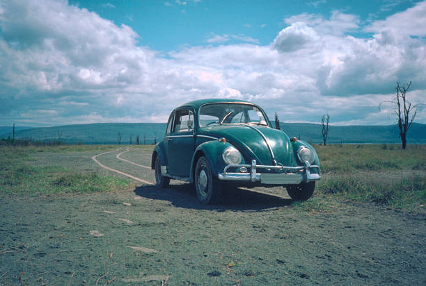 verde volkswagen besouro 1963 carro no lago naivasha - beetle imagens e fotografias de stock