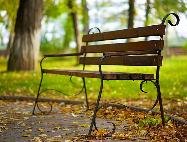istock Autumn afternoon in the Park 494914778