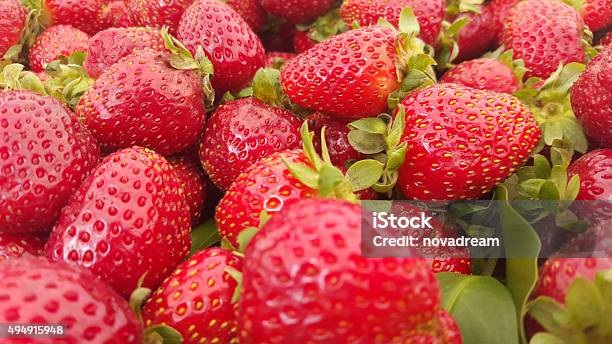 Strawberries Stock Photo - Download Image Now - 2015, Backgrounds, Breakfast