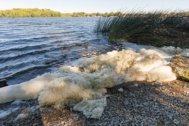 Foam Pollution in the River White foam pollution in the Dnieper river in Kiev dnieper river stock pictures, royalty-free photos & images