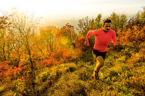 istock Young runner running on the mountain at sunset, Primorska, Slovenia 494917244