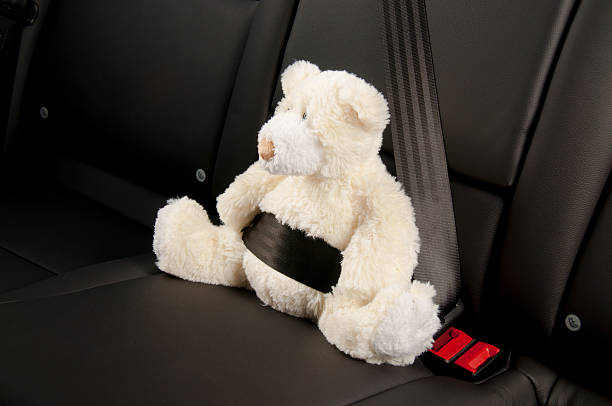 istock Teddy bear fastened in the back seat of a car 494917800