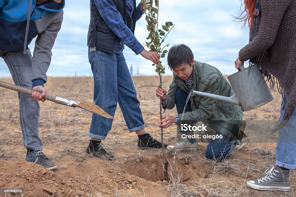 Four young men planting a tree Four young men planting a tree, kind of carefree fun 2015 Stock Photo