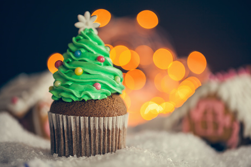 Delicious Christmas Dessert. Christmas Tree Cupcakes