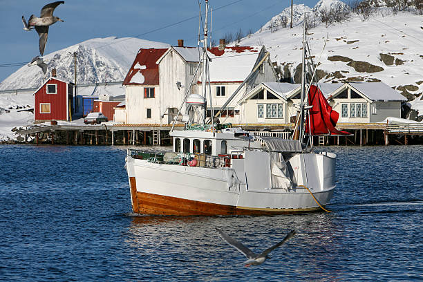 pesca en bote en henningsvær, henningsvaer en lofoten, noruega - lofoten henningsvaer norway village fotografías e imágenes de stock